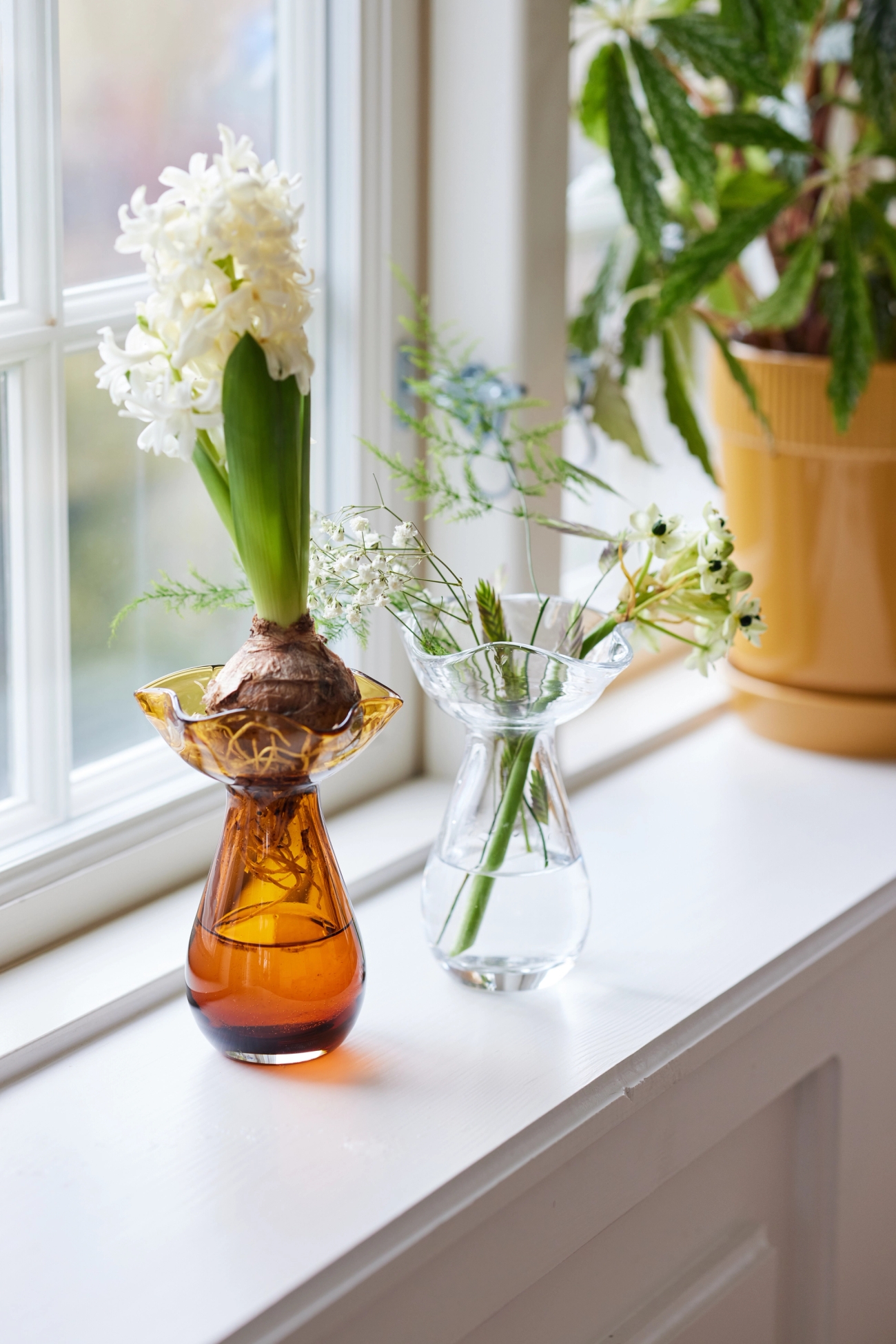 Två stycken hyacintvaser i glas på fönsterbräda