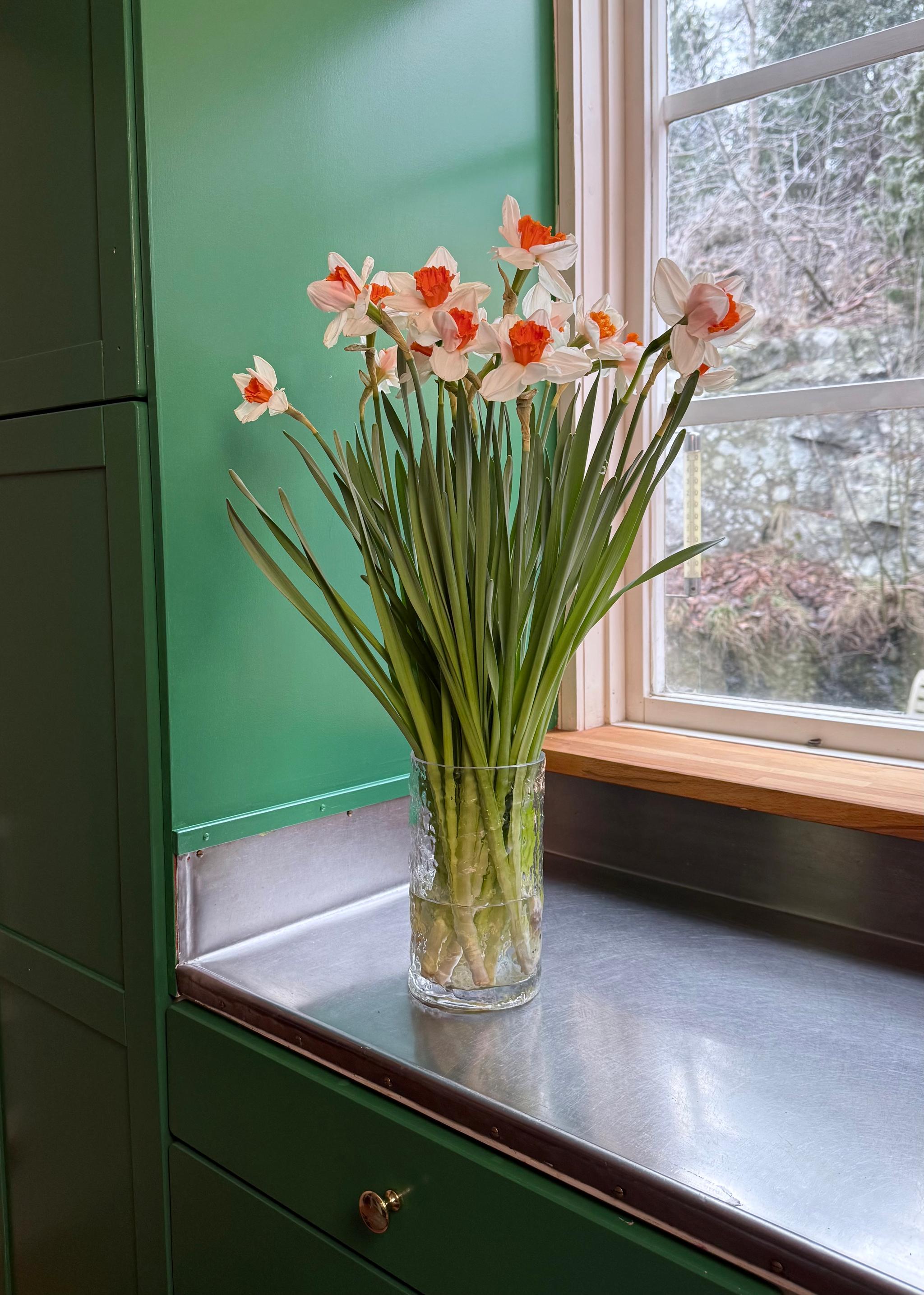 A vase of white and orange daffodils on a stainless steel counter next to a window, with green walls and cabinets.