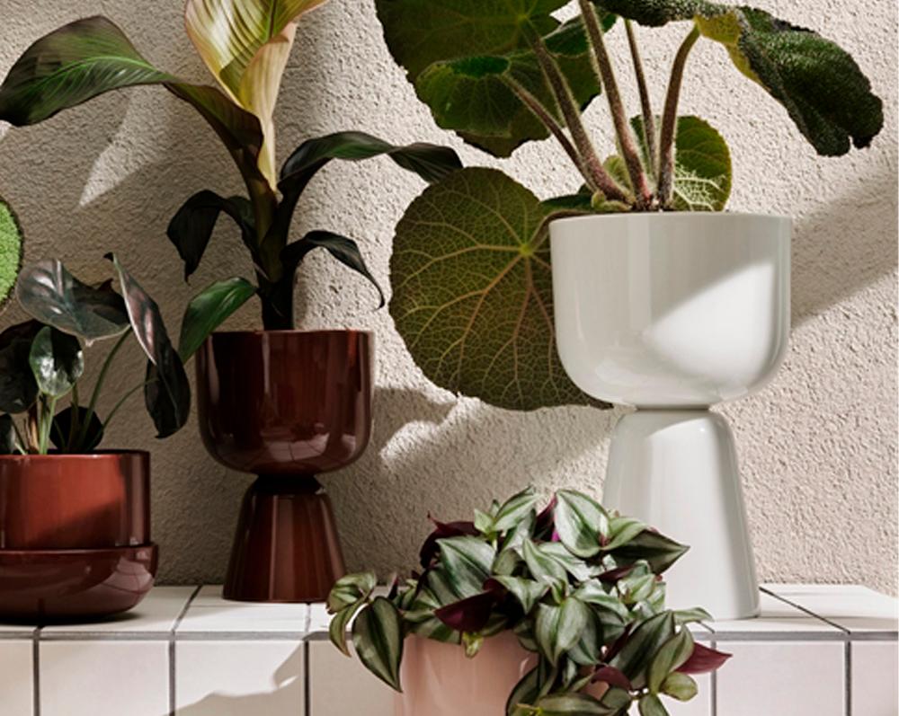 Close-up of houseplants in modern white, dark red, and pink planters, some with two-part designs, on a white tiled surface.Tyylikäs huonekasvien asetelma erilaisissa moderneissa ruukuissa valkoisella laatoitettulla hyllyllä.