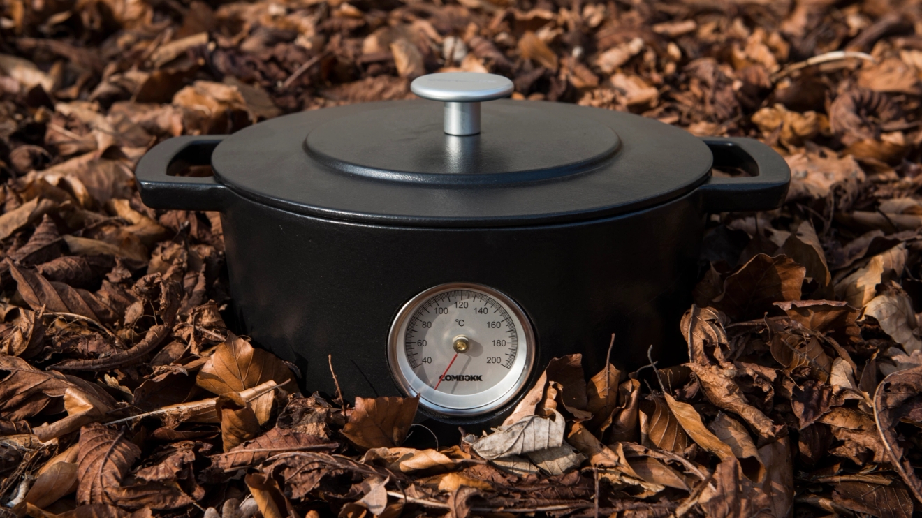 Combekk gjutärnsgryta liggandes i löv