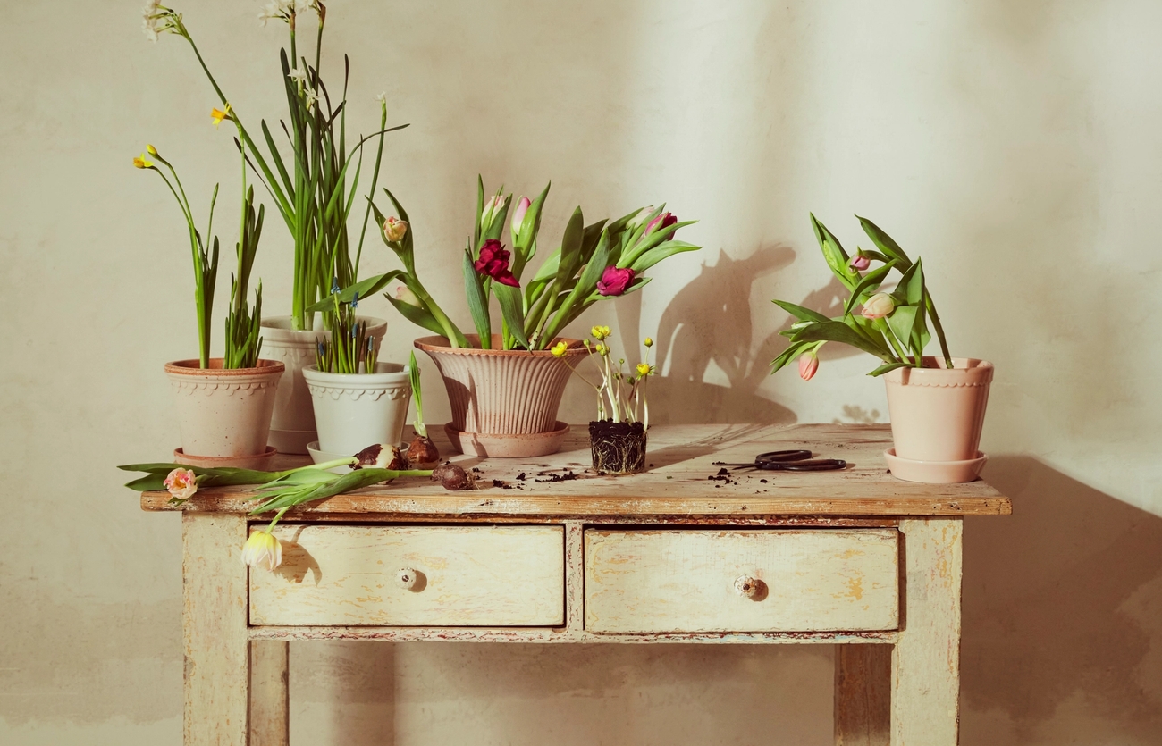 Inred med vårvackra krukor