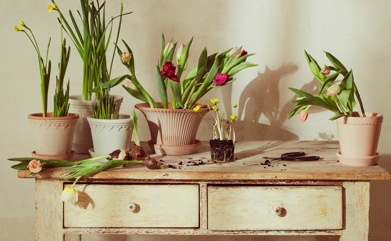 Upp till 50% på krukor & vaser