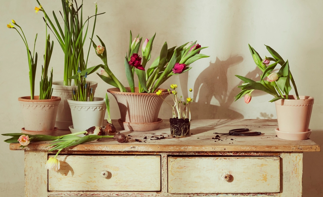 Upp till 50% på krukor & vaser