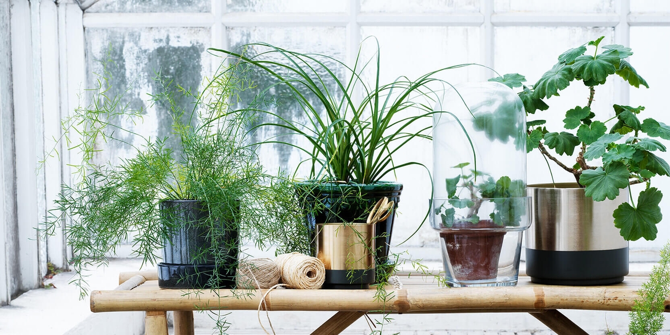 Puutarha kukkaruukut ja kasvit puisella penkillä 