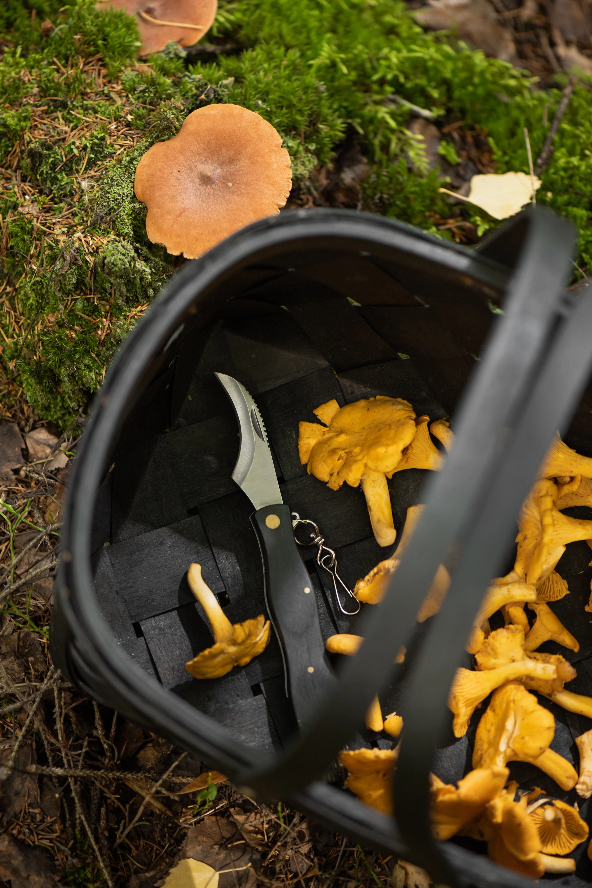 Korg med kantareller och en svampkniv från Marjukka i
