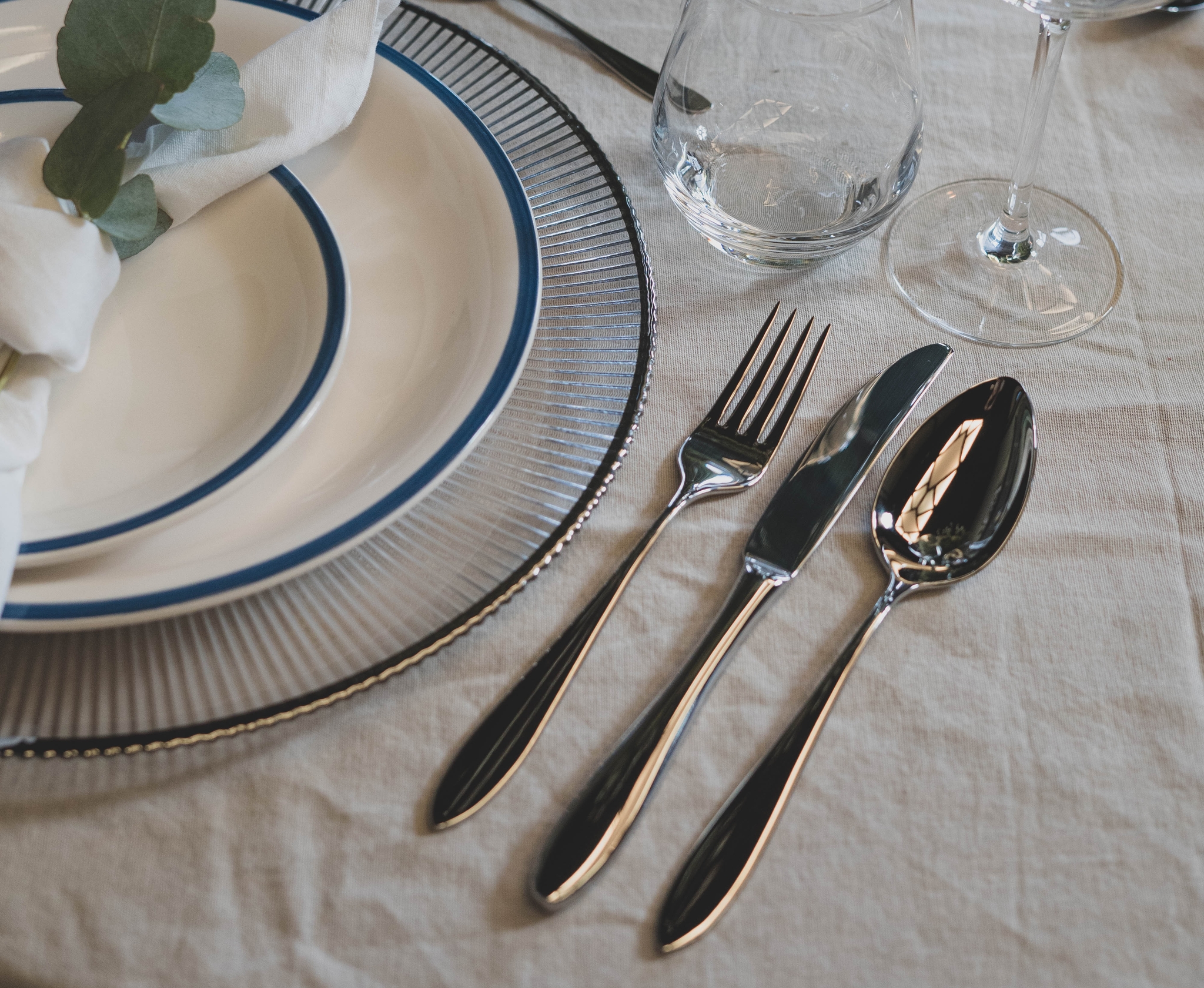 Ett dukat bord med en vit tallrik, blå kant, bestick, glas och en vas med gröna stjälkar.