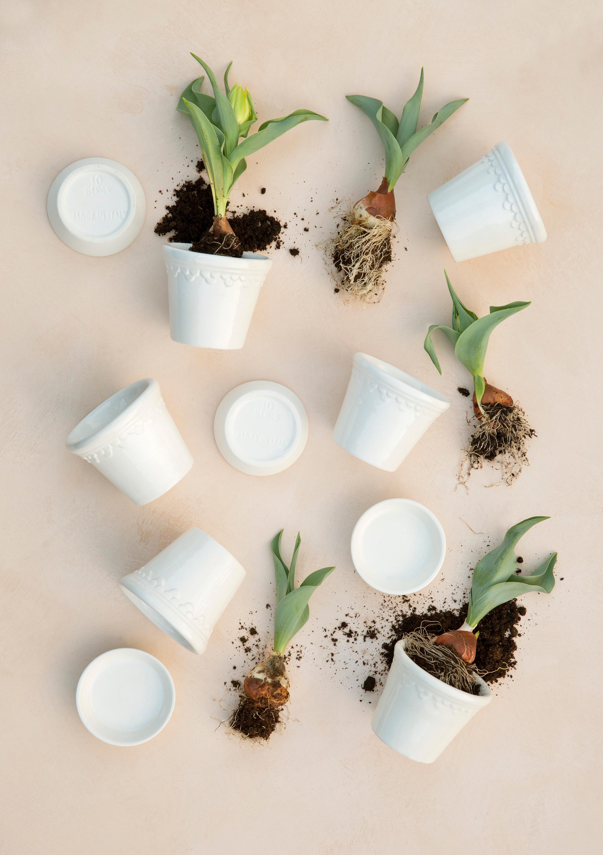 Bergs Potter valkoiset kukkaruukut Kopenhavner sarjasta vihreät kasvit
