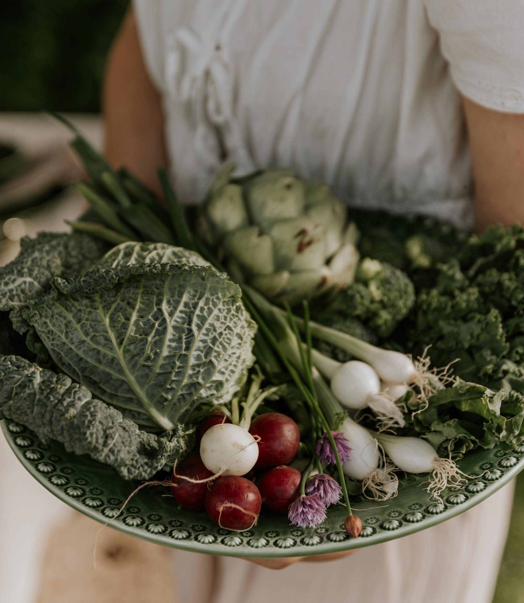 En person holder en grønn tallerken full av grønnsaker