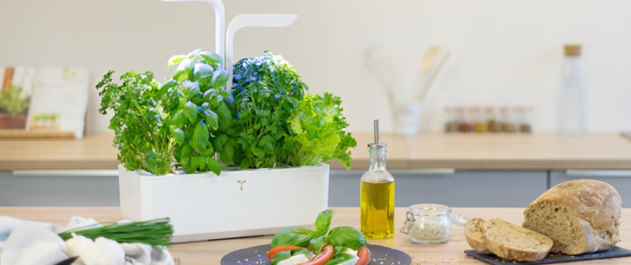 Krydderoppbevaring hvit potte til urter på et bord