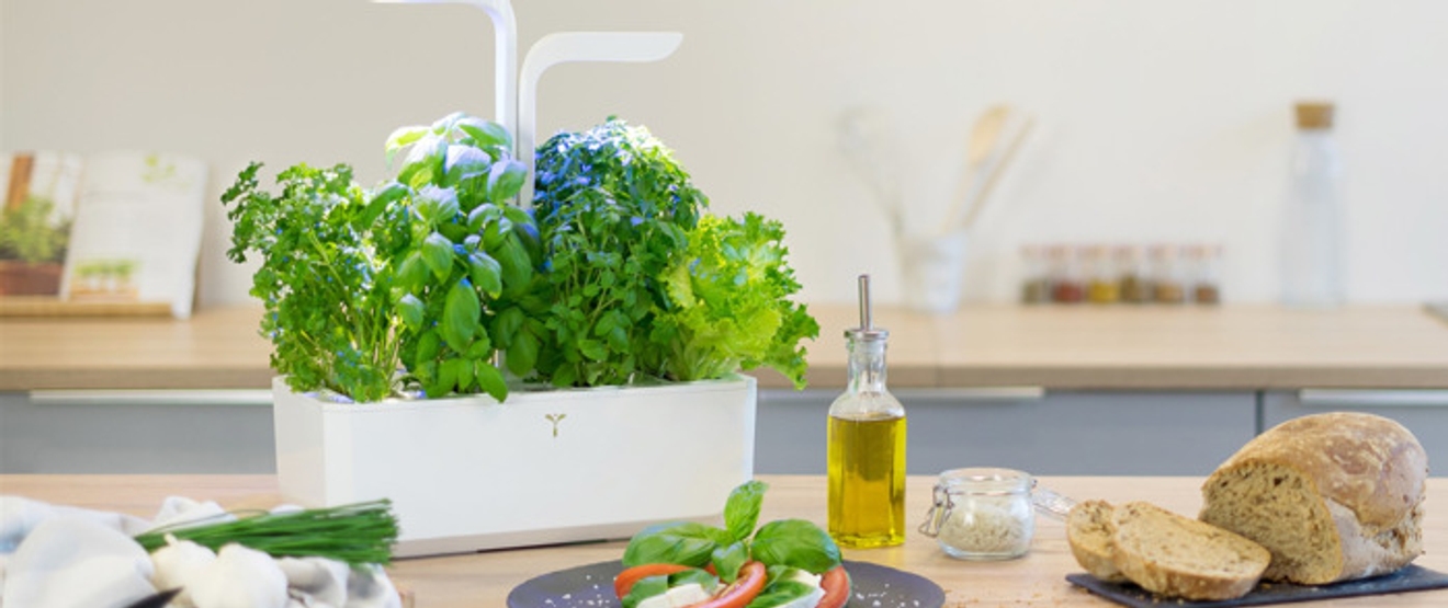 Krydderoppbevaring hvit potte til urter på et bord