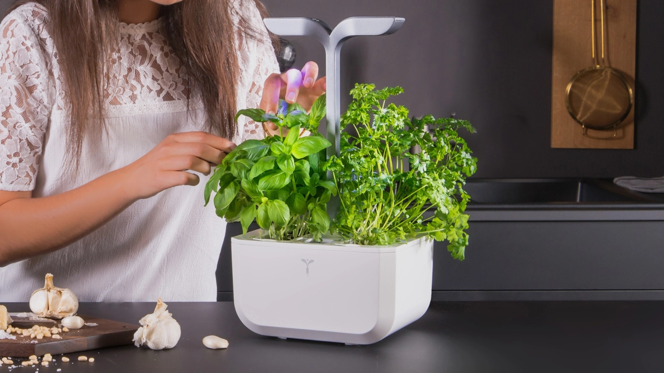 Véritable classic garden 