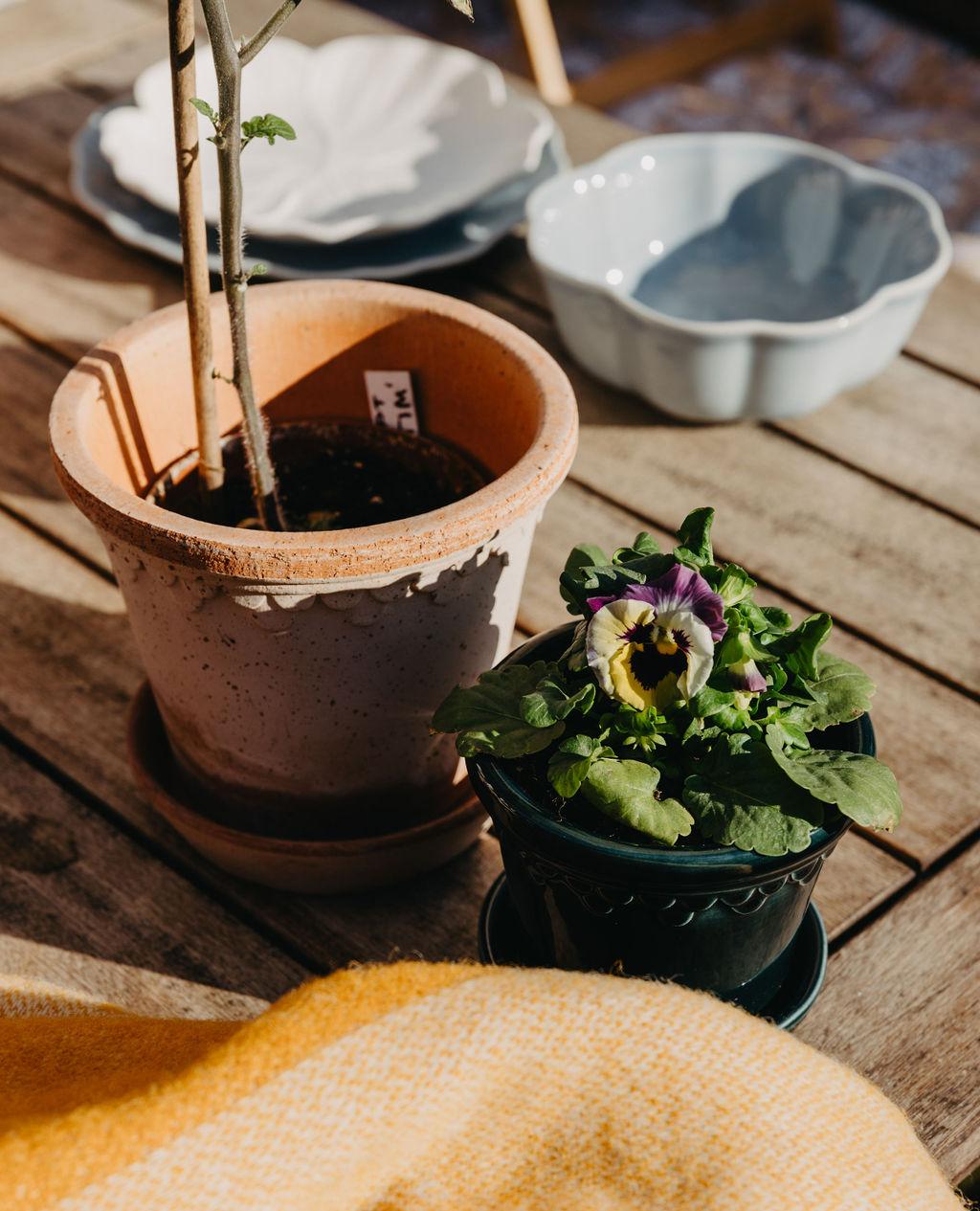 Bergs Potter krukker