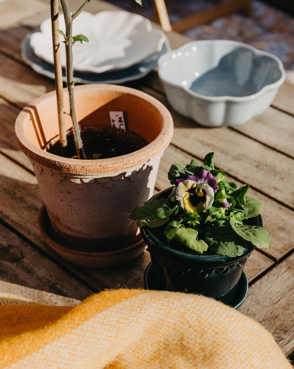 Bergs Potter krukker