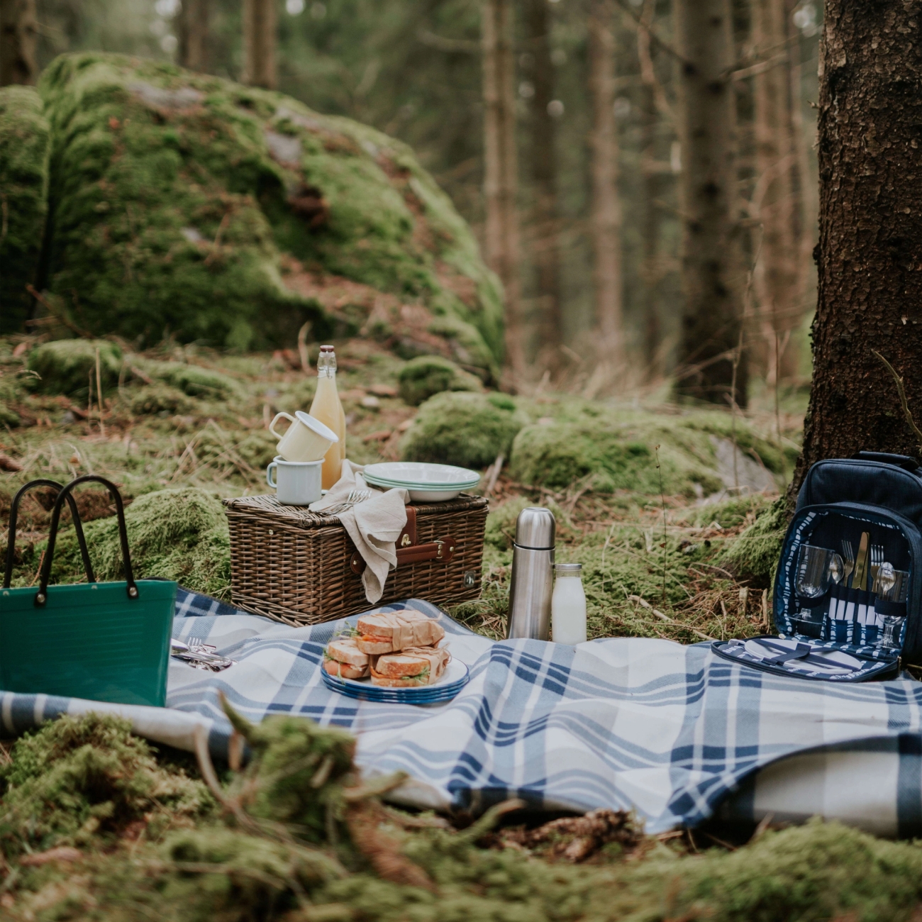 Metsäisessä maisemassa on katettu piknikviltti, jonka päällä on eväskori, juomia ja voileipiä vehreän sammalen keskellä.