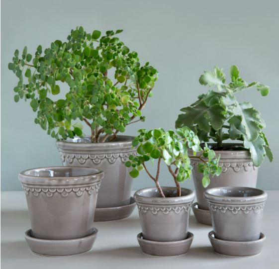 Köpenhavner kruka i grått med gröna växter i