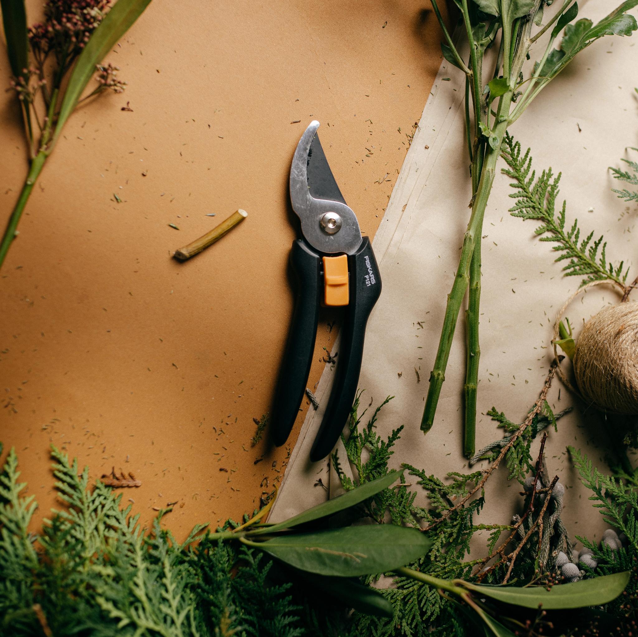 Flat lay av gule krysantemum, beskjæringssaks, hyssing og ulike grønne planter på kraftpapir