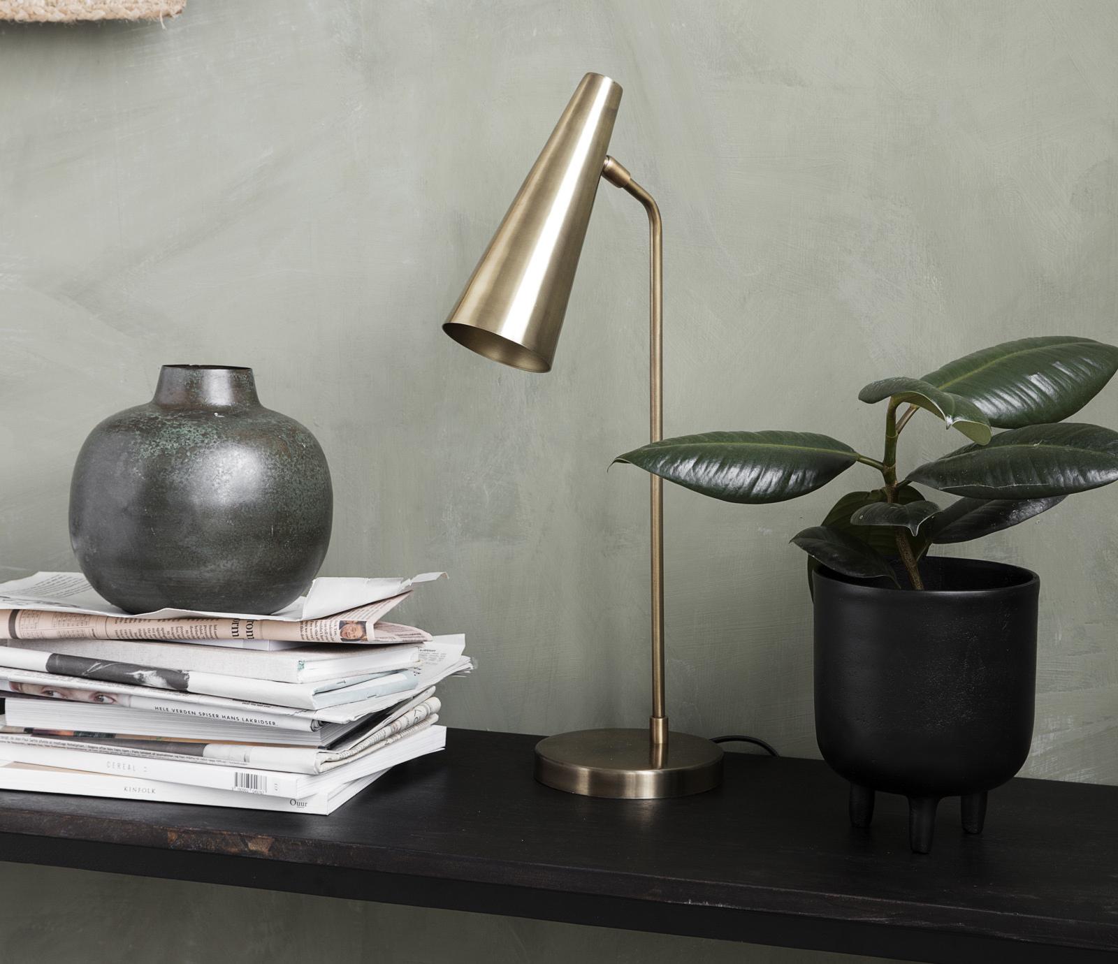 A dark shelf against a green wall holds a stack of magazines with a vase, a brass lamp, and a potted rubber plant.