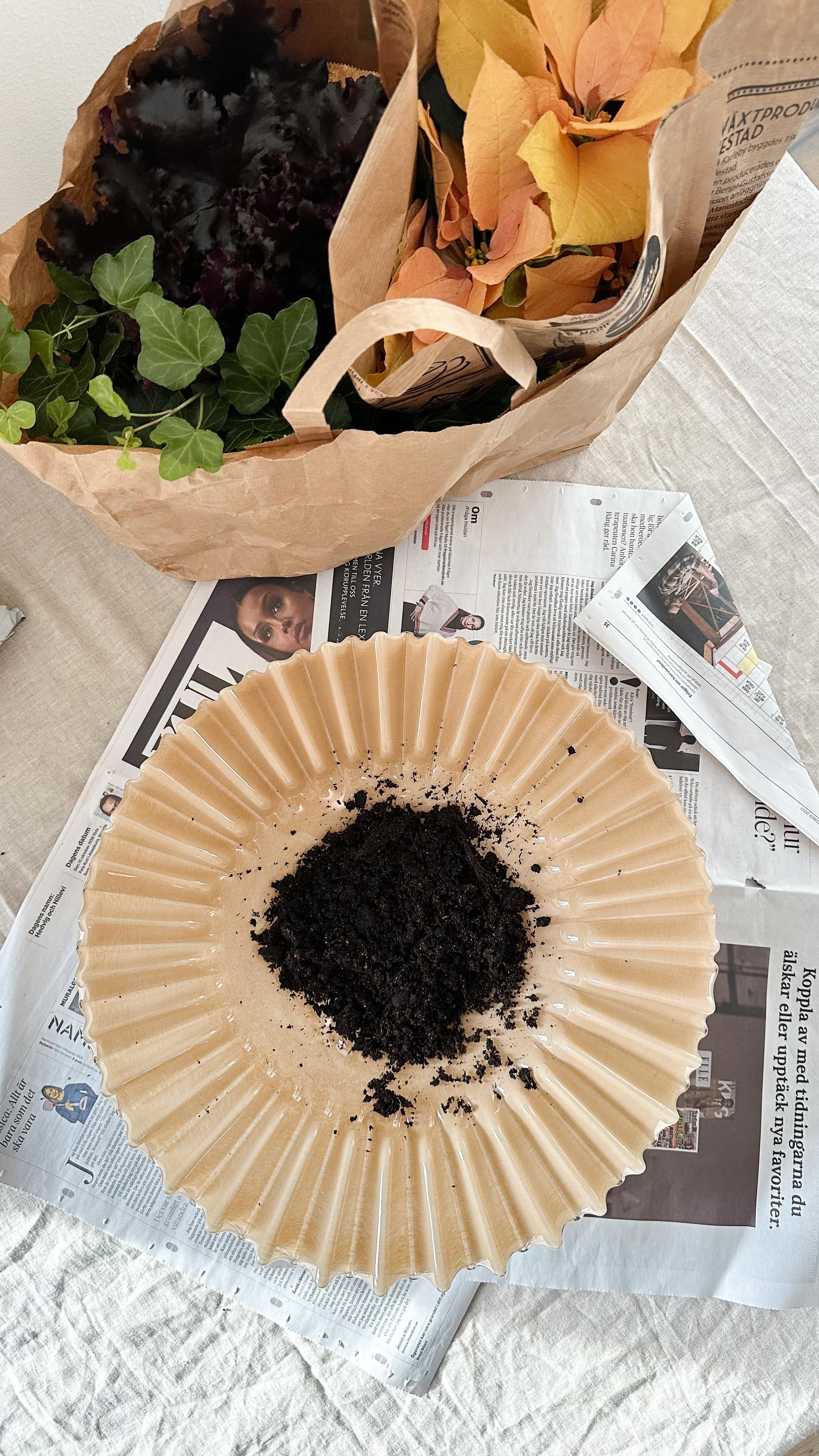 Coffee filter with grounds on newspaper, plants in paper bags.