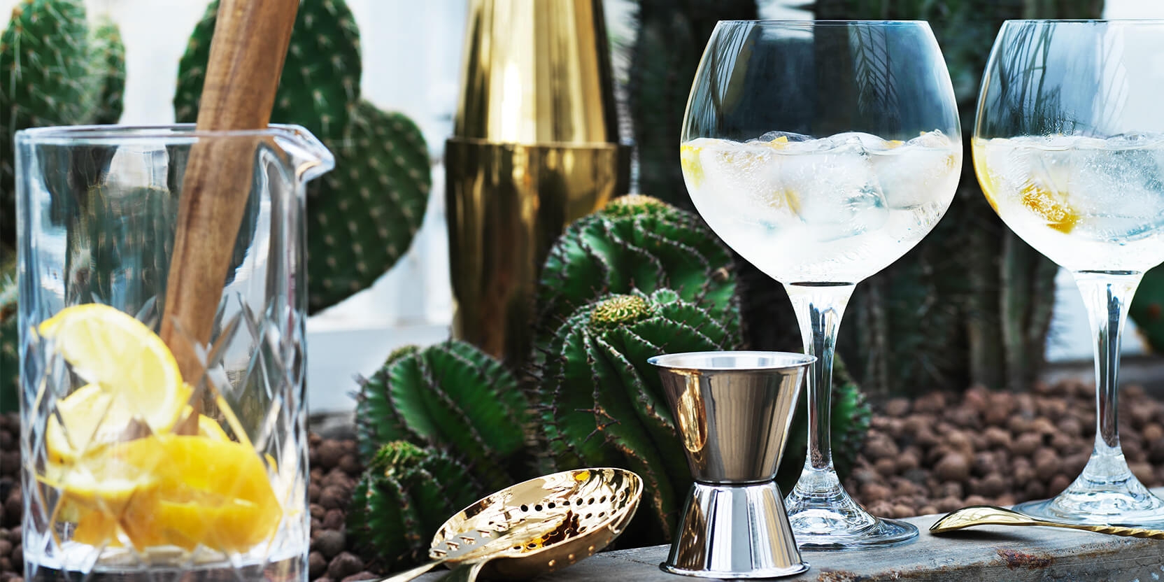 Gin och tonic dagen med ginglas