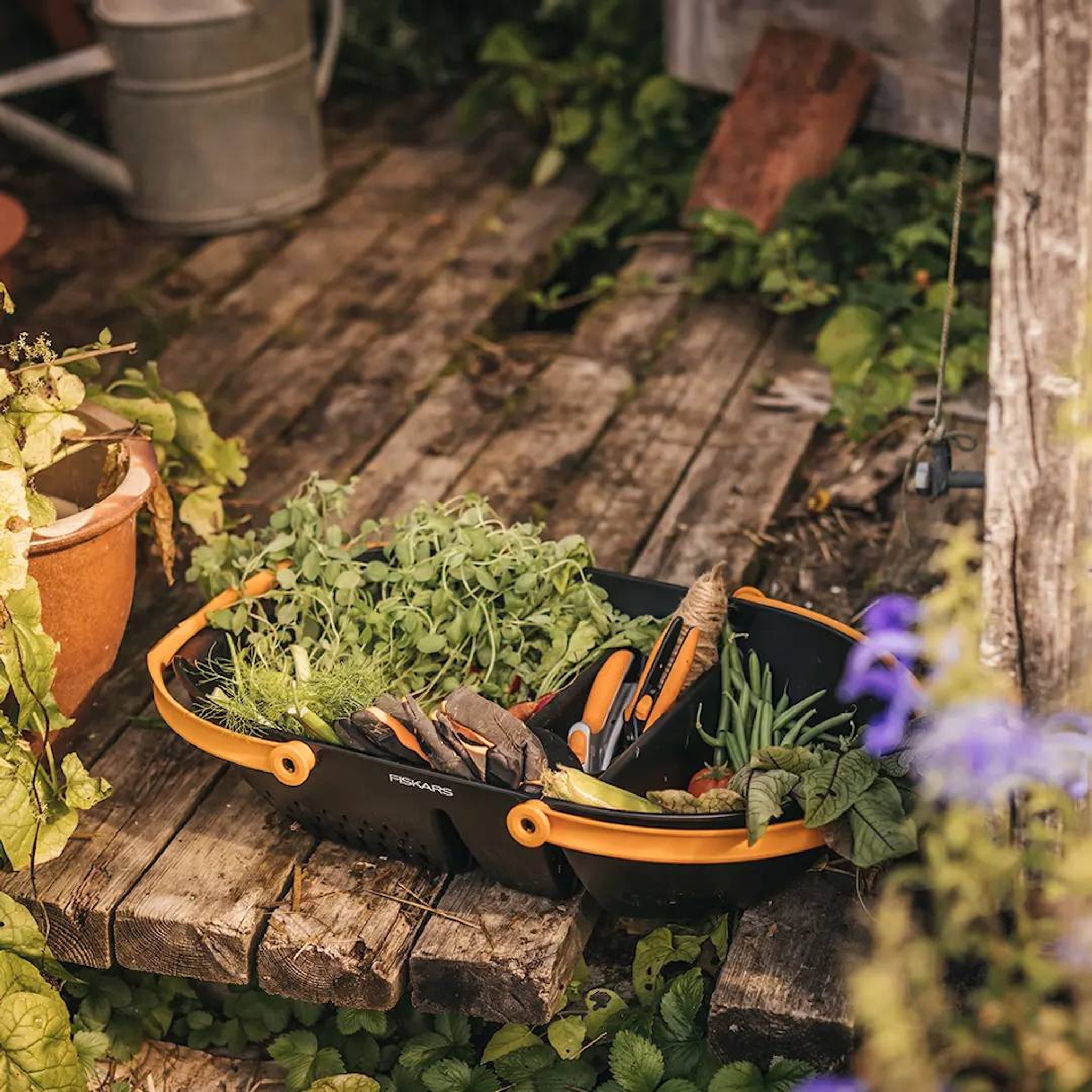Fiskars sadonkorjuukori puutarhassa viherkasvien kera