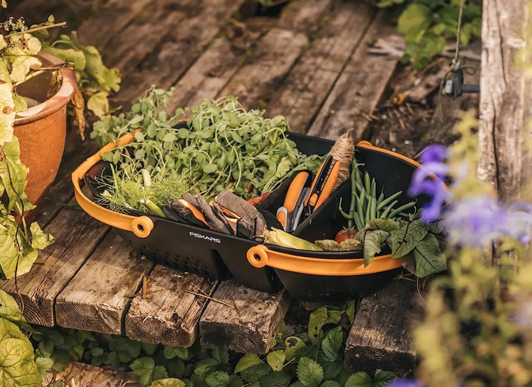 Fiskars sadonkorjuukori puutarhassa viherkasvien kera