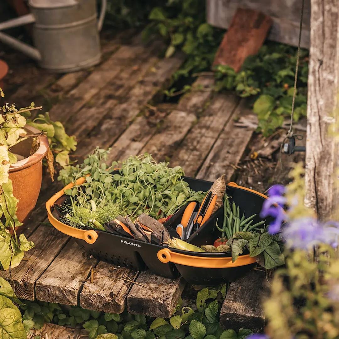 Fiskars sadonkorjuukori puutarhassa viherkasvien kera