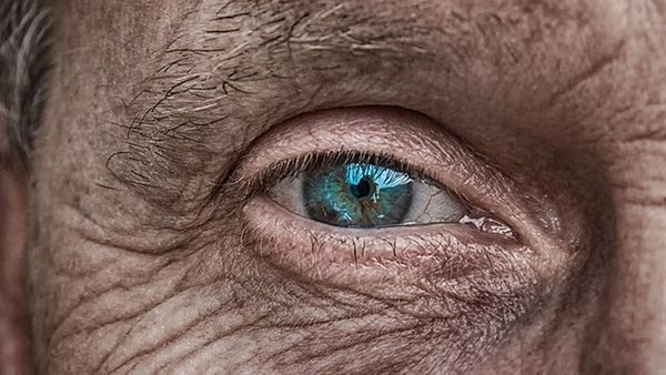 A Visionary Investment In Your Eyes