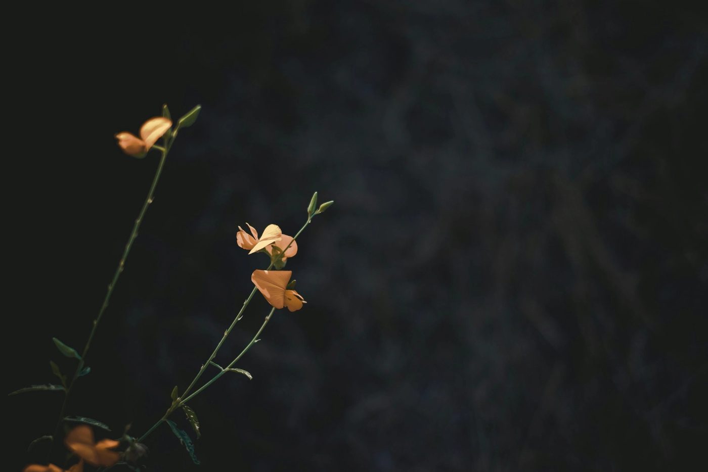 ART and EMDR Comparisions