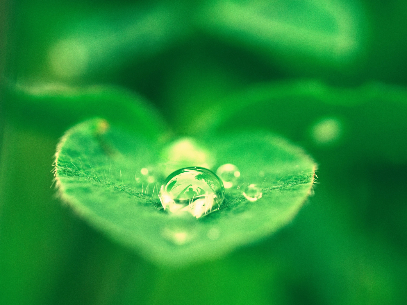 Steps to Help You Prepare to Begin Therapy