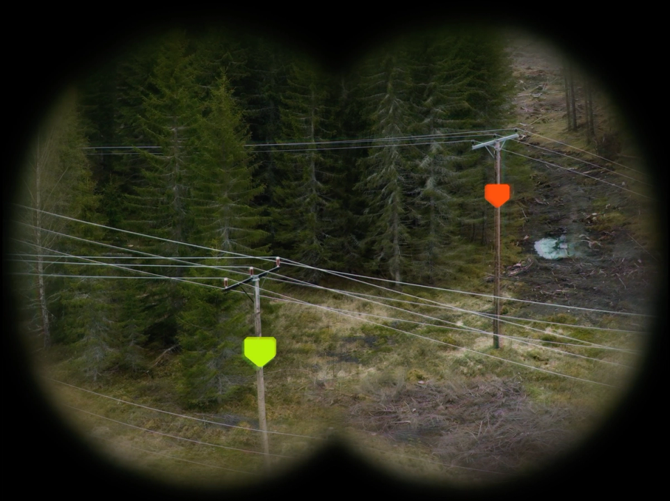 Kraftlinje i skog med grønne og oransje tilstandsmarkører