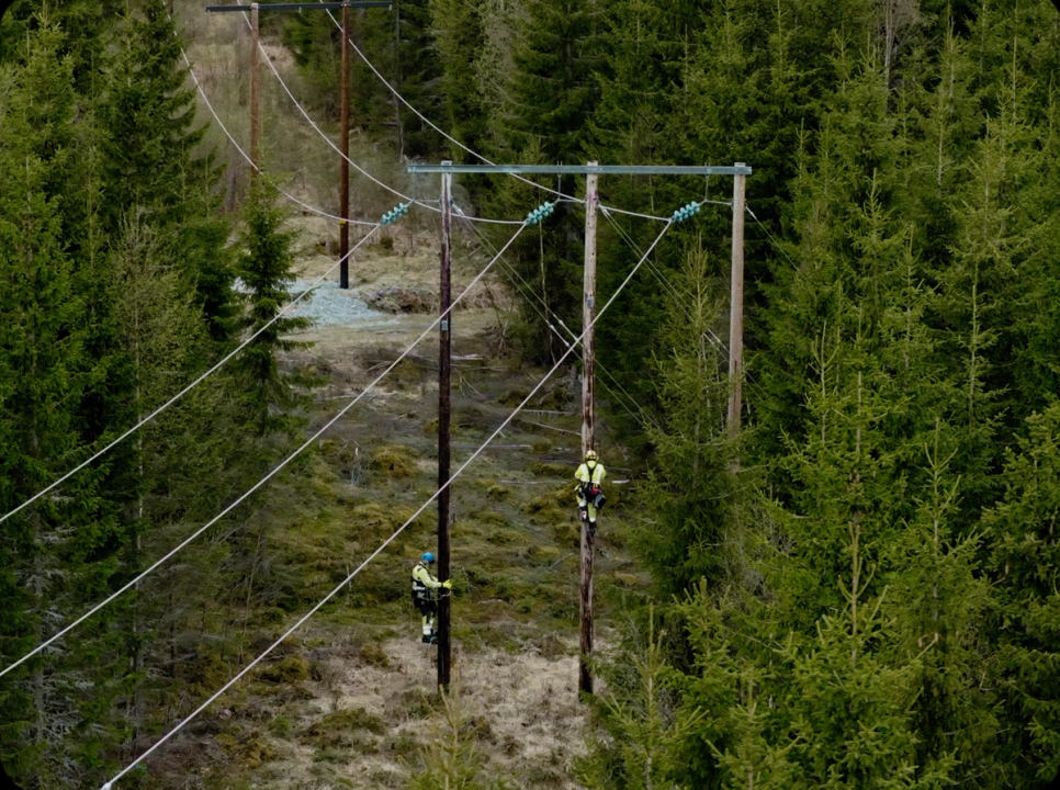 Kraftlinje gjennom skogkledd terreng