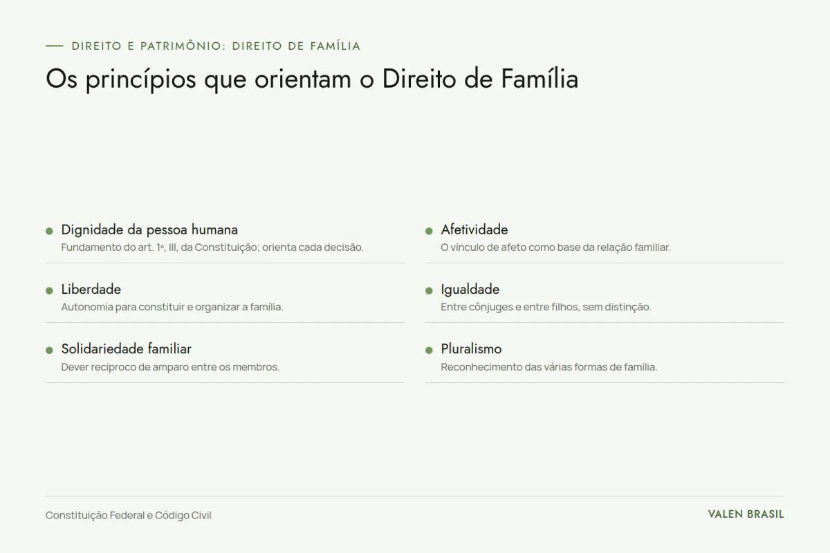 Quadro com os seis princípios do Direito de Família: dignidade da pessoa humana, afetividade, liberdade, igualdade, solidariedade familiar e pluralismo
