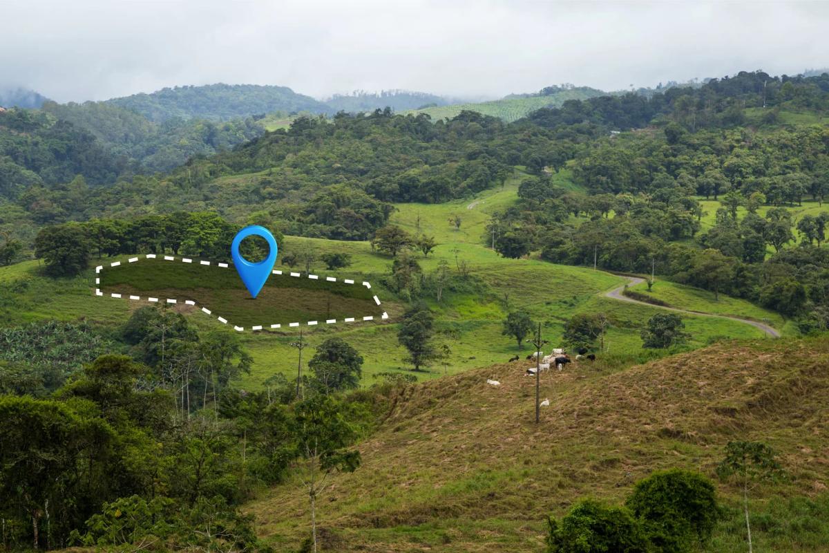 Fazenda São José