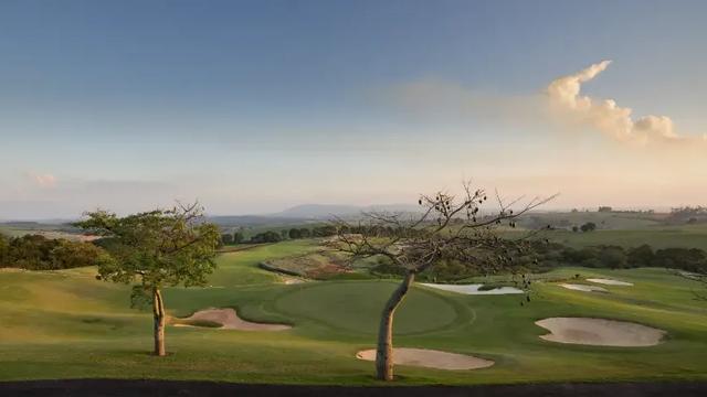 Vista de um campo de golfe com árvores.