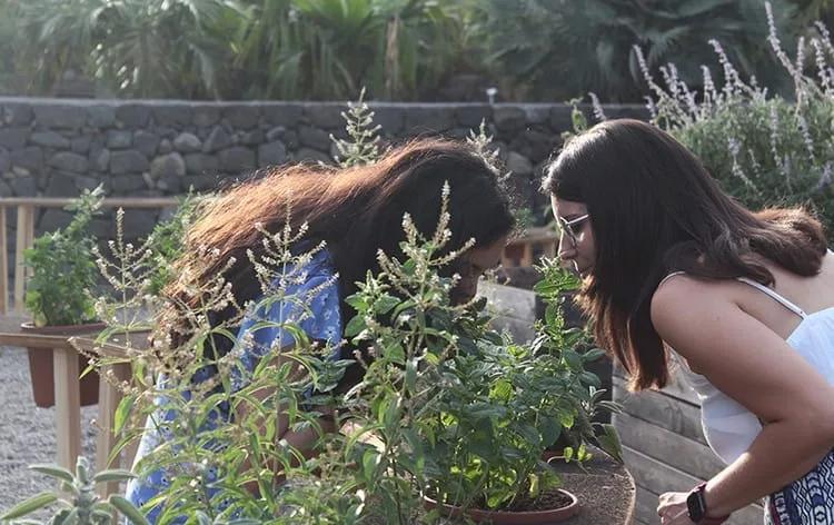 Aromas no jardim Duas jovens se inclinam para sentir o aroma de plantas em vasos