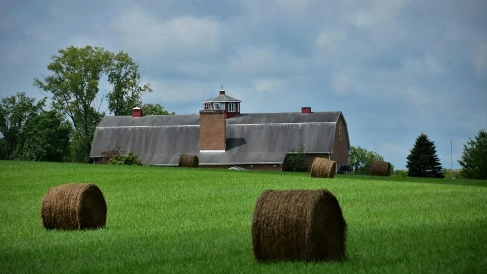 Foto com casa em imóvel rural