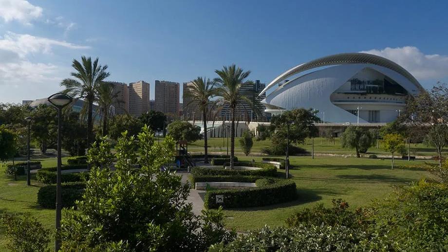 Jardim do Túria perto da Cidade das Artes e das Ciências Palmeiras e jardins no antigo leito do Túria com um edifício branco de cobertura curva da Cidade das Artes e das Ciências ao fundo