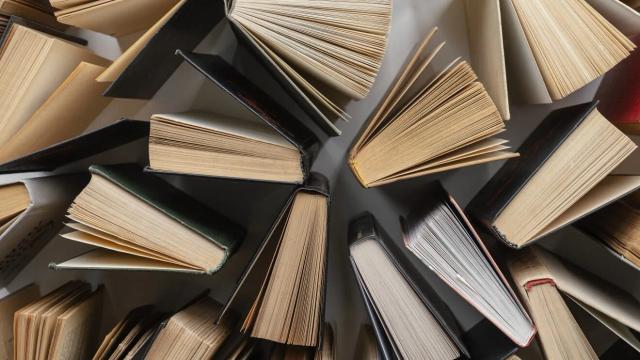 Vários livros abertos vistos de cima, com as páginas abertas em leque sobre uma superfície clara.