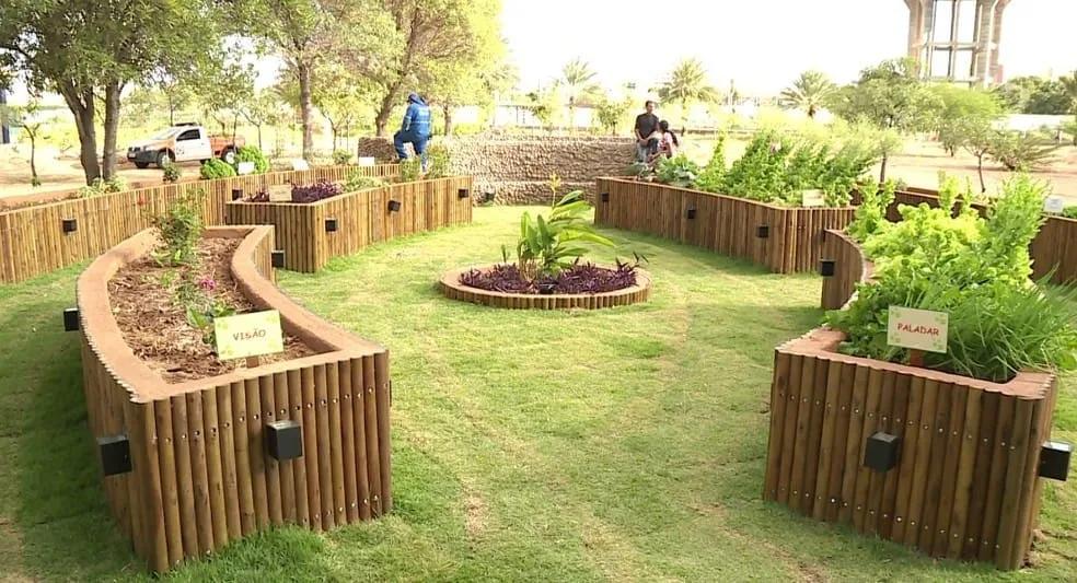 Canteiros de um jardim sensorial Canteiros elevados de madeira com ervas e plantas identificadas por placas, em jardim ao ar livre
