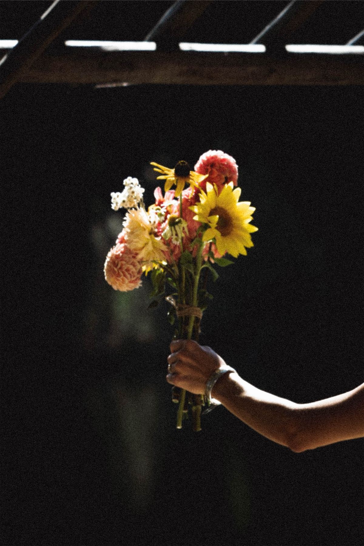Hand offering a bouquet of dahlias and sunflowers into the light