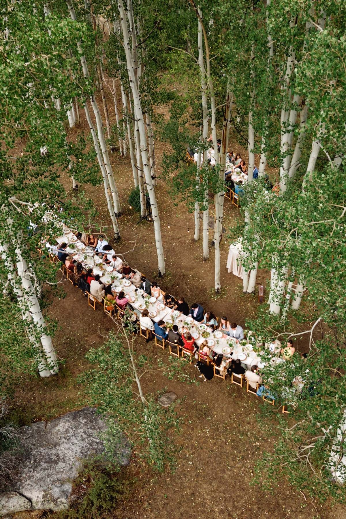 Aerial view of the long reception table winding through the aspen grove at a mountain ranch among the aspens