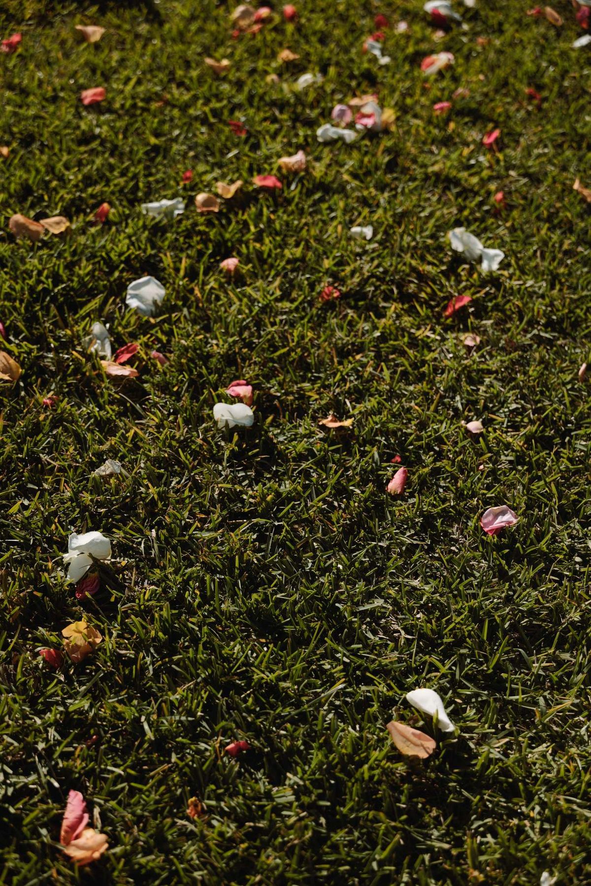Flower petals scattered across the grass after a Bermuda wedding ceremony