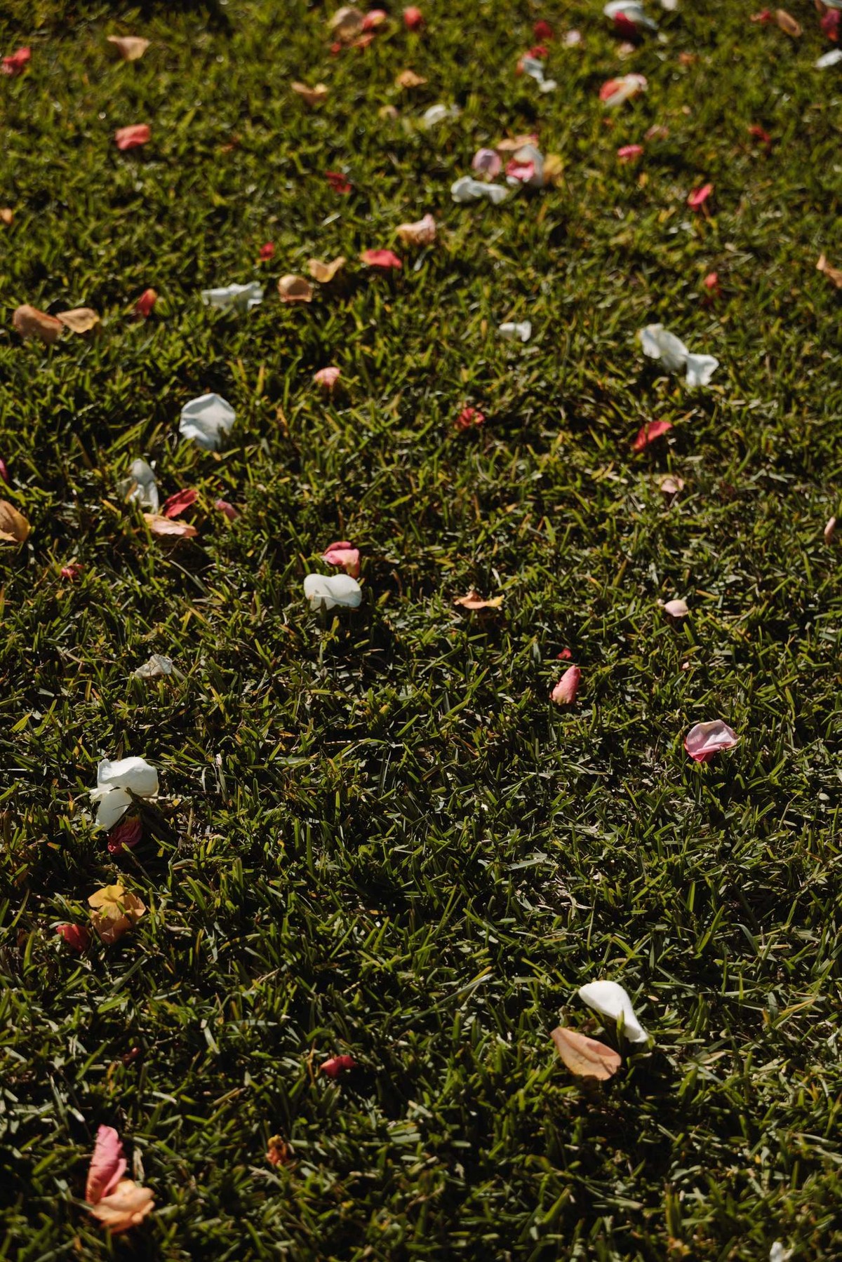 Flower petals scattered across the grass after a Bermuda wedding ceremony