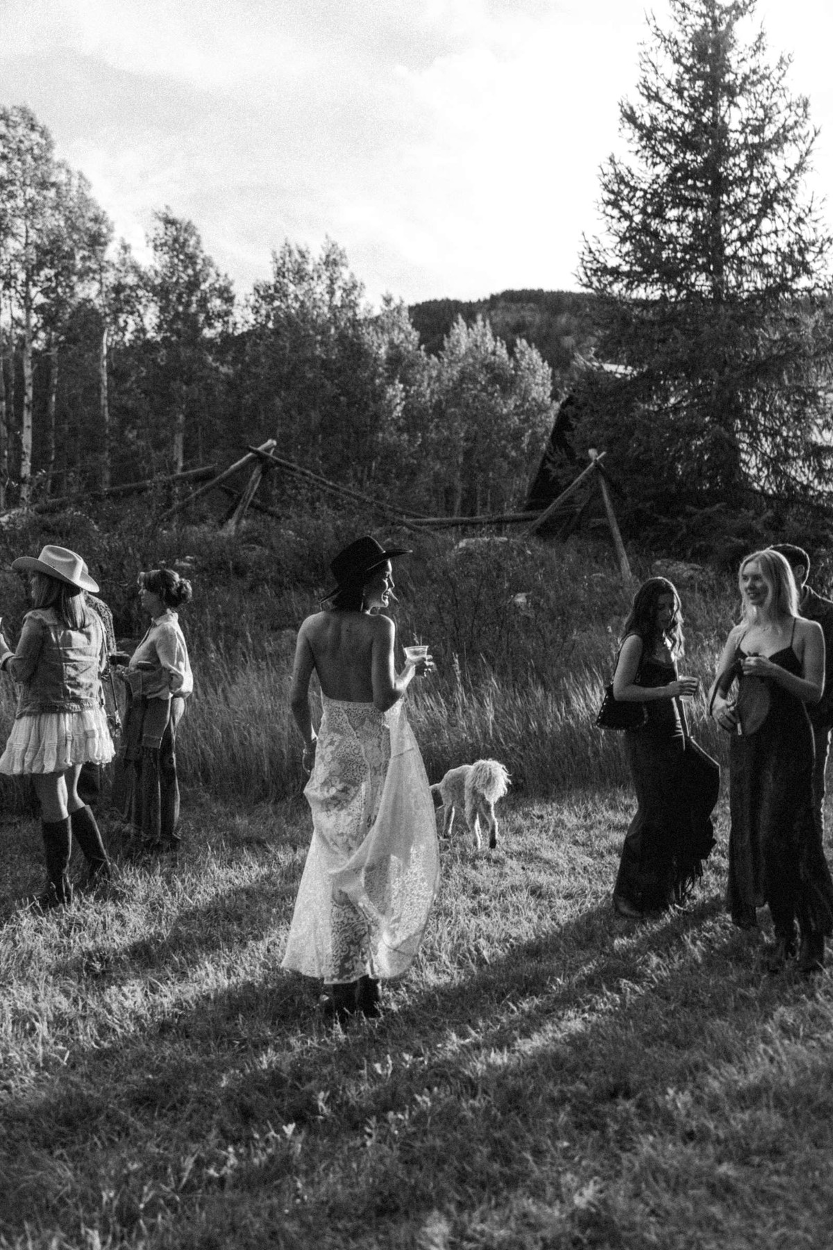 Devin walks into the evening light among guests at the welcome party at a mountain ranch among the aspens, black and white
