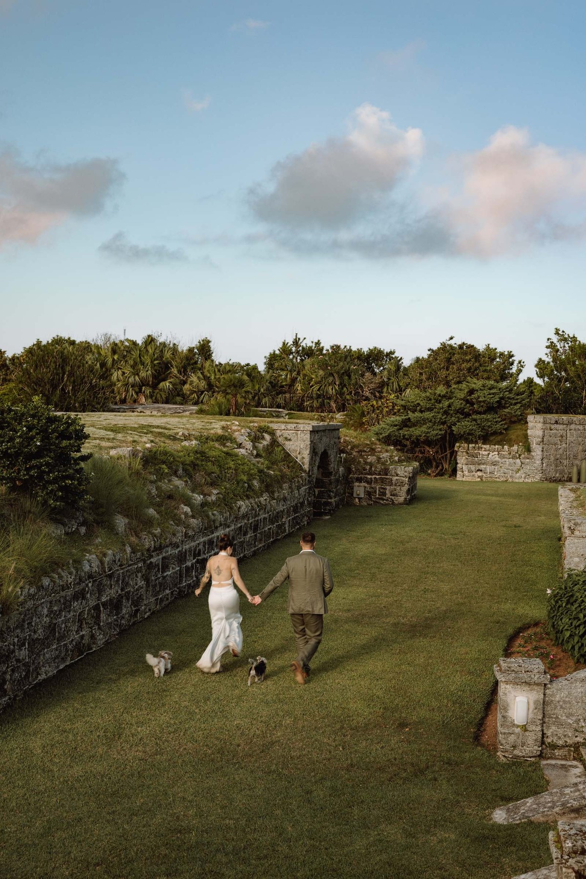 Bride and groom walking their dogs across the lawn beside a Bermuda stone wall at dusk