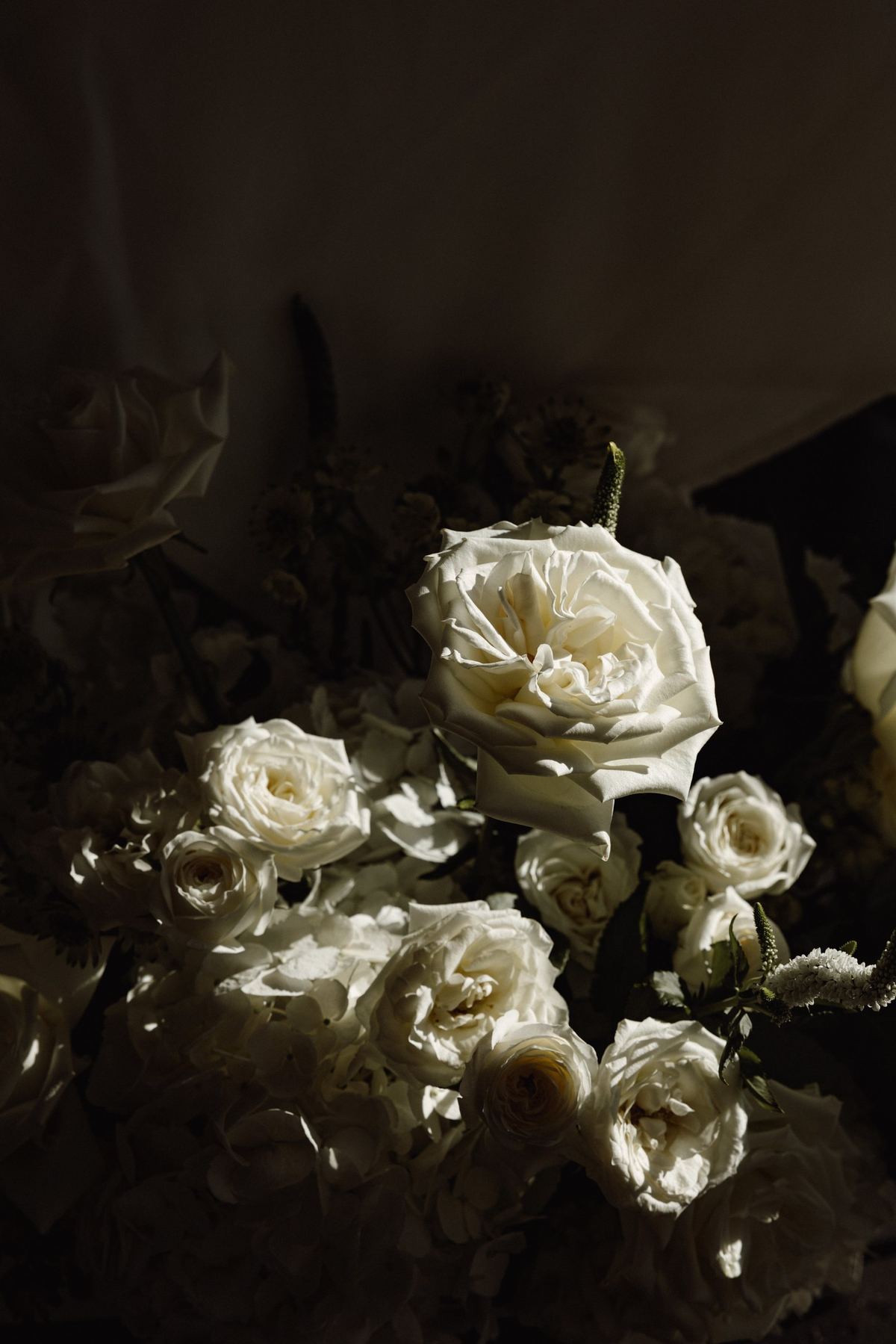 Detail of white roses bouquet in dramatic light at Bermuda wedding