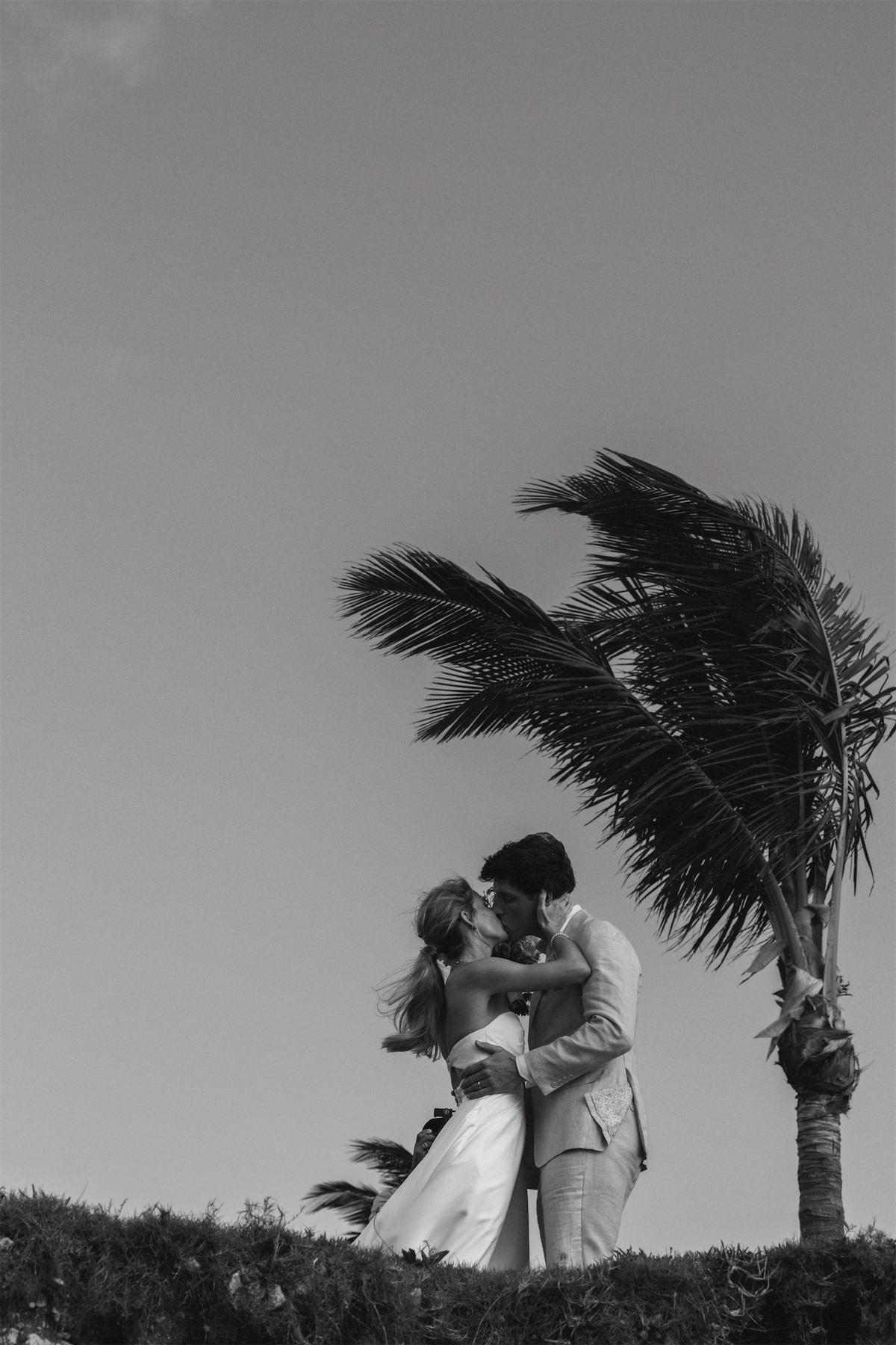 Black and white portrait of the couple kissing beneath a windblown palm