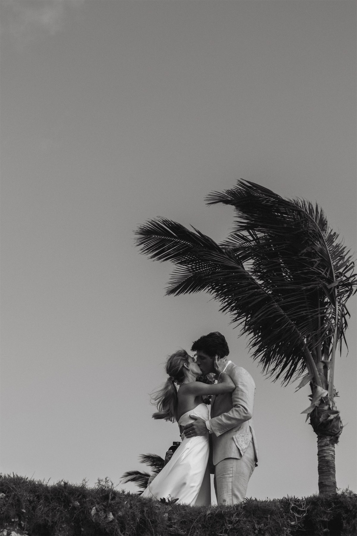 Black and white portrait of the couple kissing beneath a windblown palm