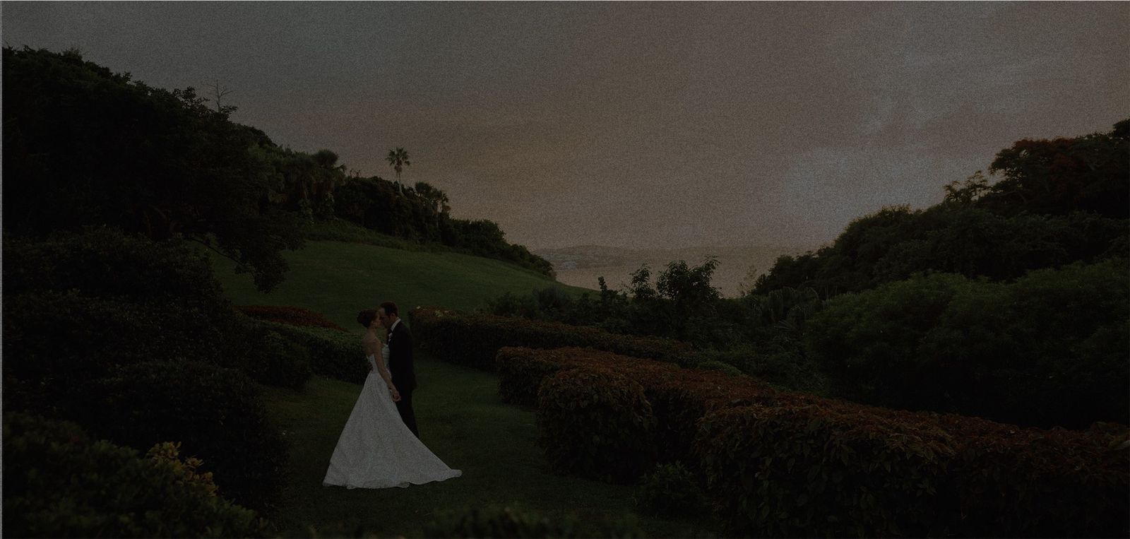 Sarah & Will wedding photograph