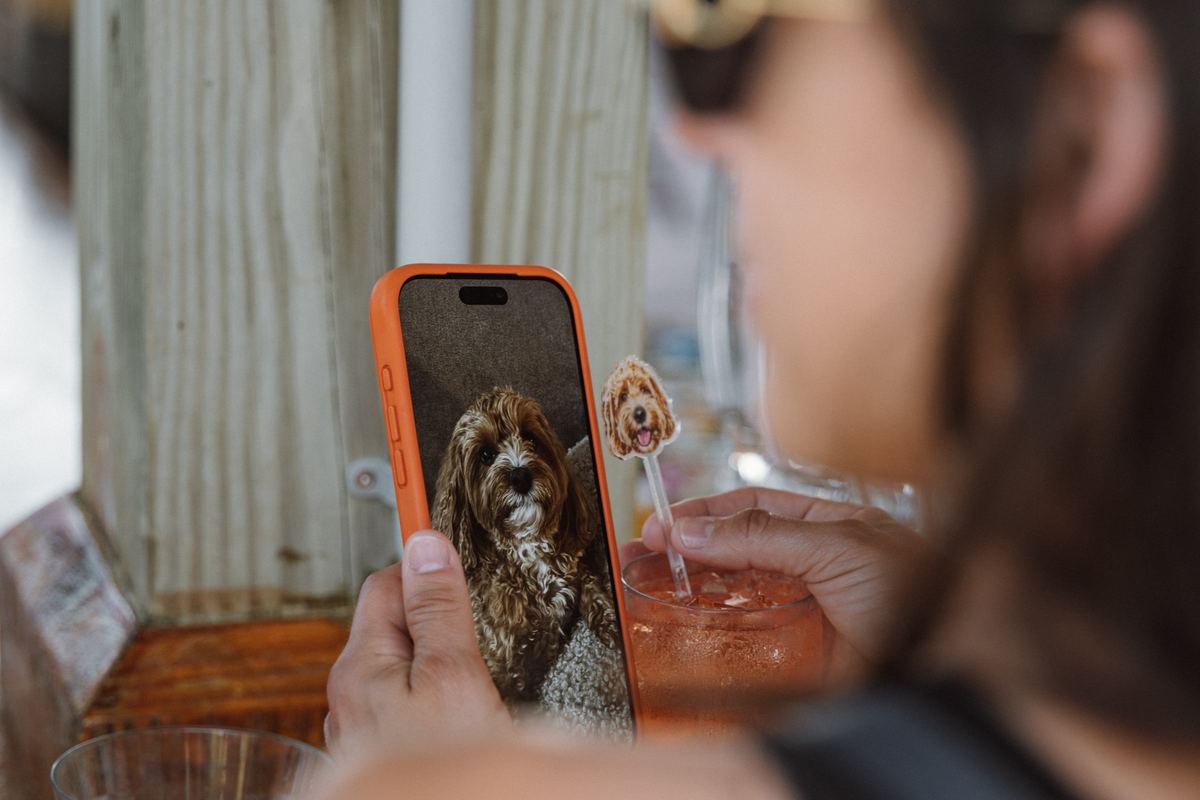 Guest laughing at a phone photograph during a Bermuda welcome party